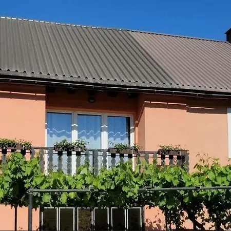 Niki Lič