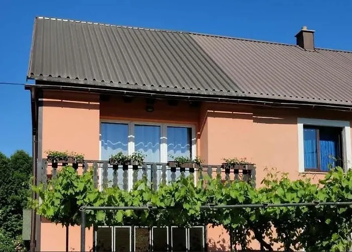 Niki Lič